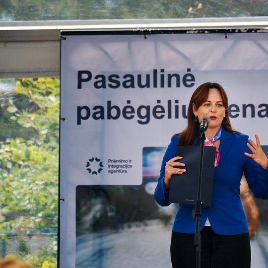 Iliustracija
